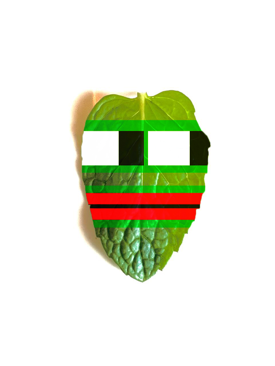 Freemint Pepe CLEAN